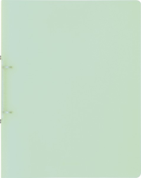 Baier & Schneider Ringbuch A4 FACT! 2R 16mm grün pastell