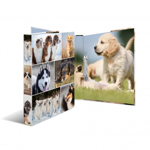 HERMA Ringbuch A4 2R 35mm Karton Animals - Hunde