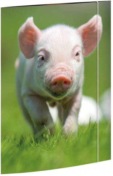 RNK-Verlag Zeichenmappe A3 Karton "Schweinchen" mit Gummizug
