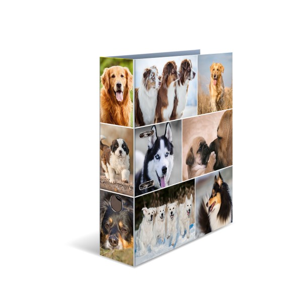 HERMA Ordner A4 70mm Animals - Hunde